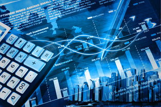 网络与信息安全软件开发 守护数字时代的防护盾